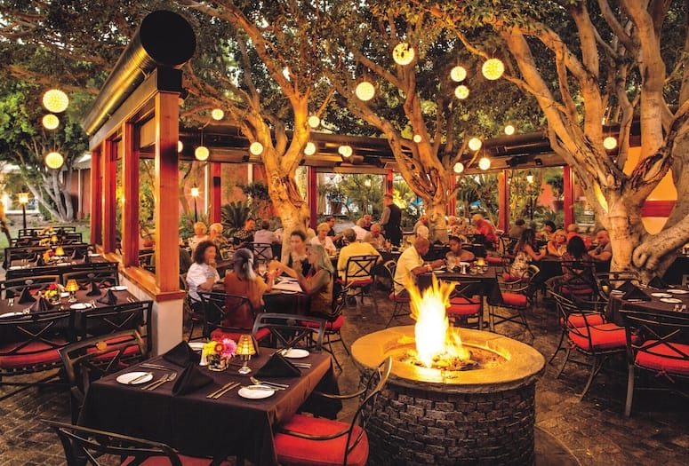 Lunch Restaurants